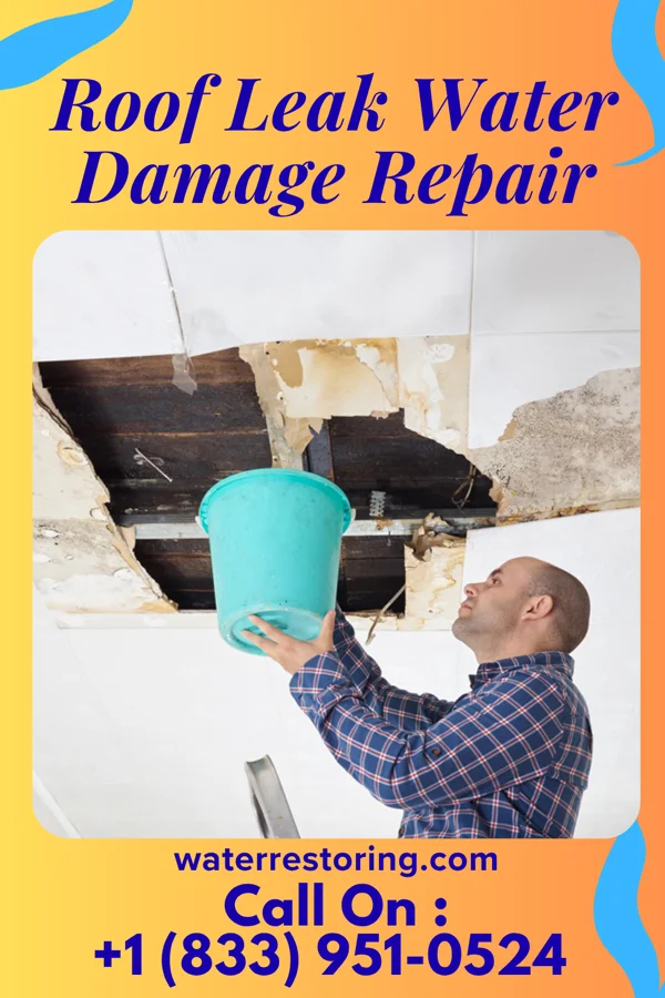 Roof Leak Water Damage Repair in McAllister, MT